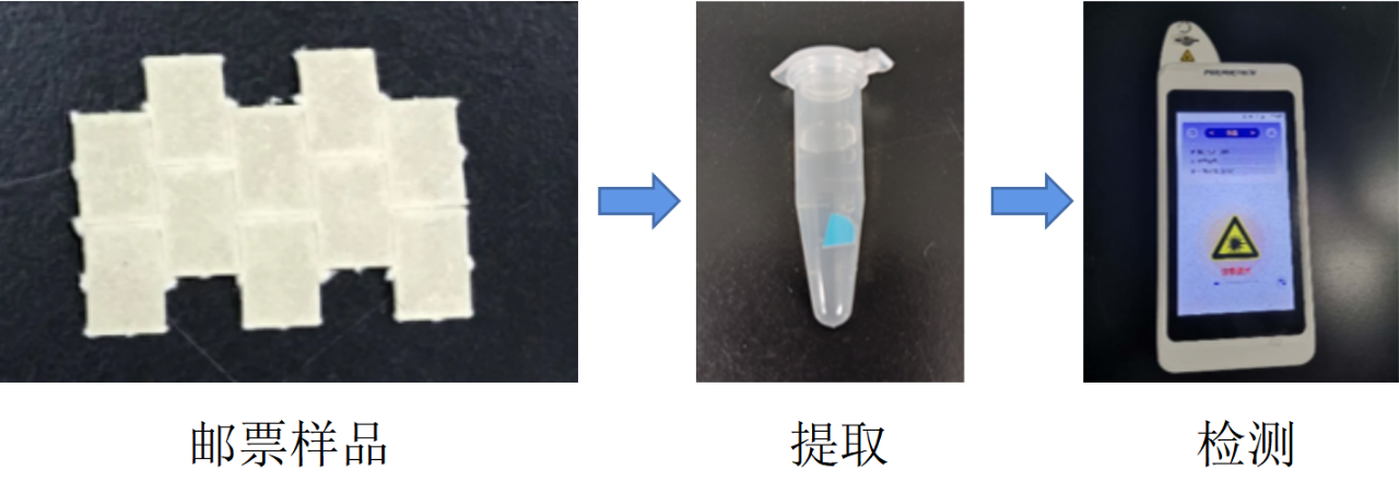 邮票LSD检测步骤.png