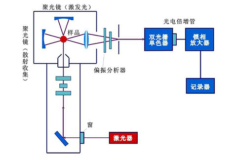 65dd95e560fdf.jpg