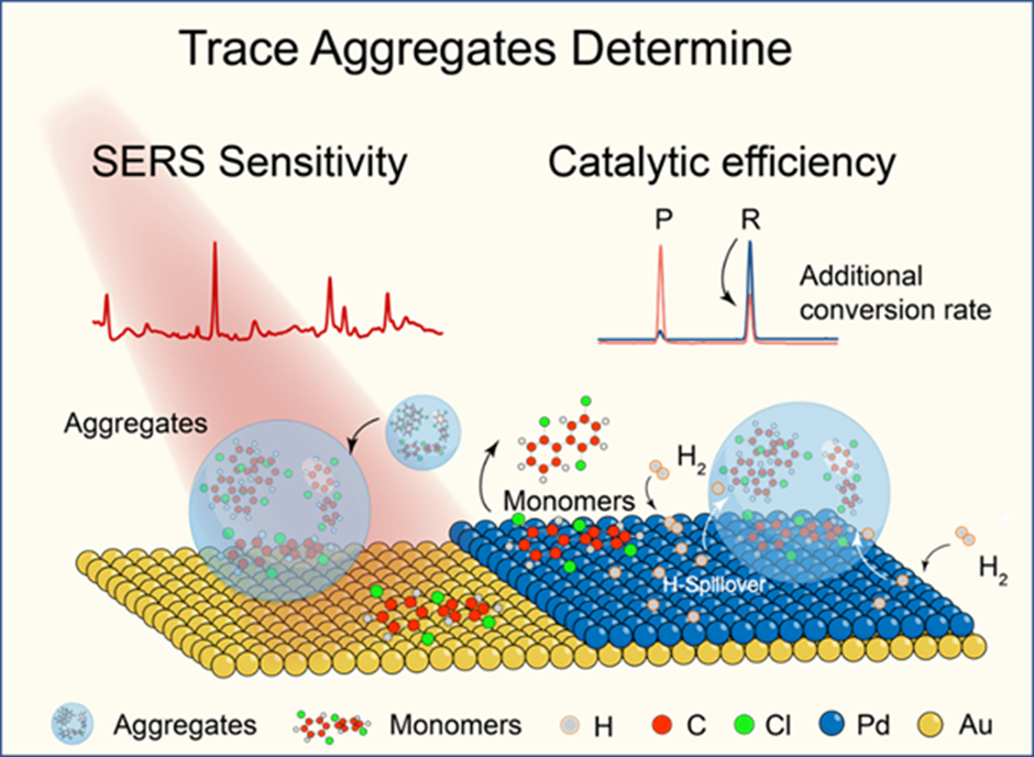 图2. 聚集体提高SERS检测灵敏度及催化效率的示意图.png