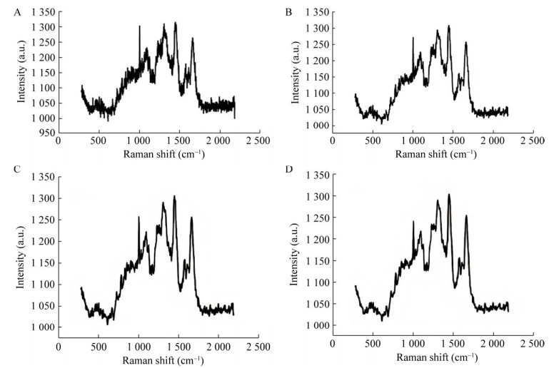 图 3　数据预处理前后拉曼光谱对比.jpg